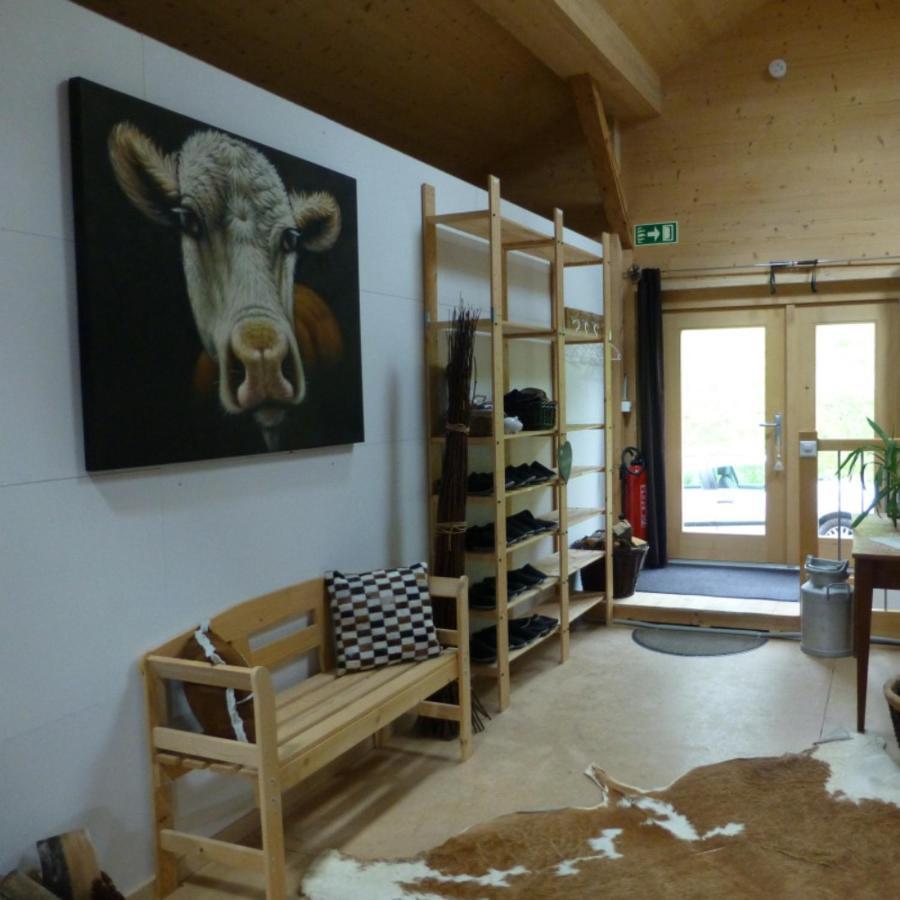 Chalet Chanso 莫尔金斯 外观 照片